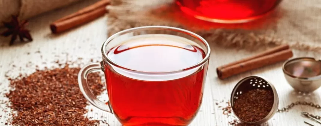 Чай ройбуш: полезные свойства африканского напитка