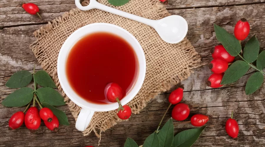 Чай из шиповника — польза и вред от него