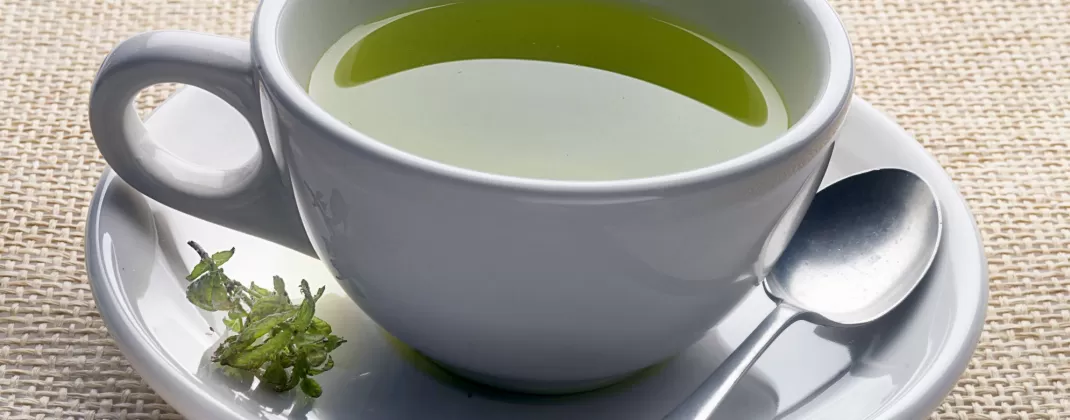 История зеленого чая