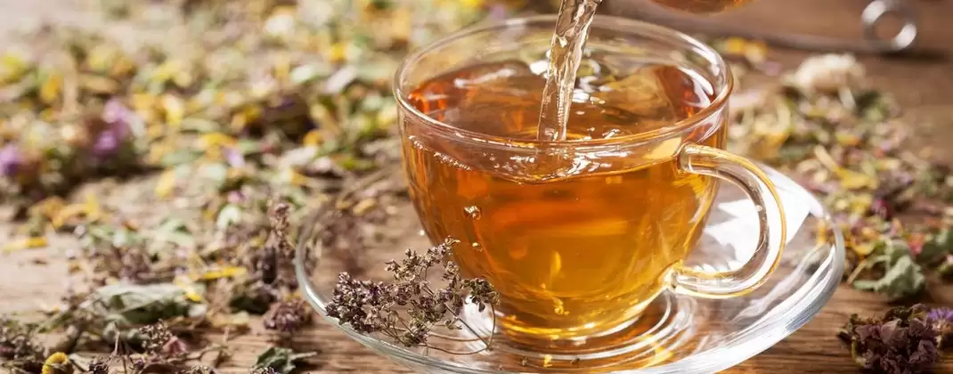 Лечебные свойства травяного чая