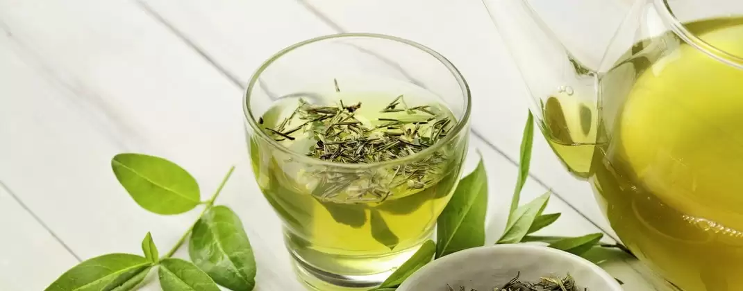 Зеленый чай – культовый напиток с чудесным действием